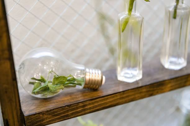 istock Windowsill interior plant, Tokyo, Japan 1206748601