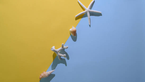 istock Minimal summer concept with starfish and shells on flat lay yellow light blue background 1206749884
