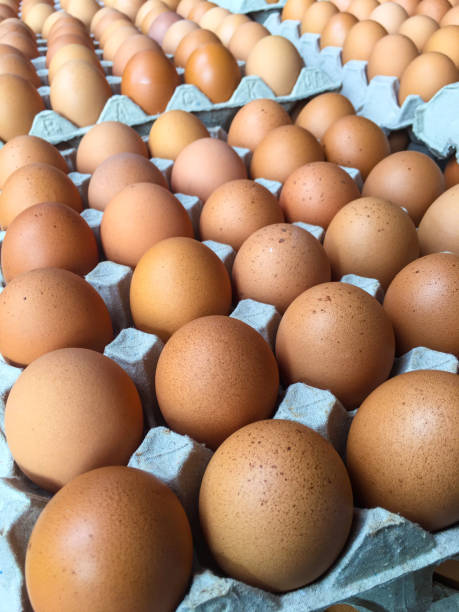 istock egg stack in paper tray from fresh farmer market 1206752872
