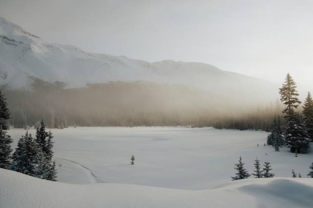 istock View of fog over trees and mountains 1206756322