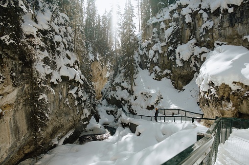 Man looks out at Johnston Canyon