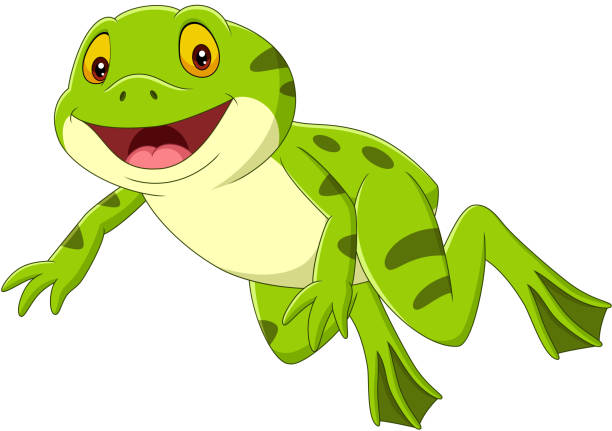 ilustrações de stock, clip art, desenhos animados e ícones de cartoon happy green frog jumping - bullfrog frog amphibian wildlife