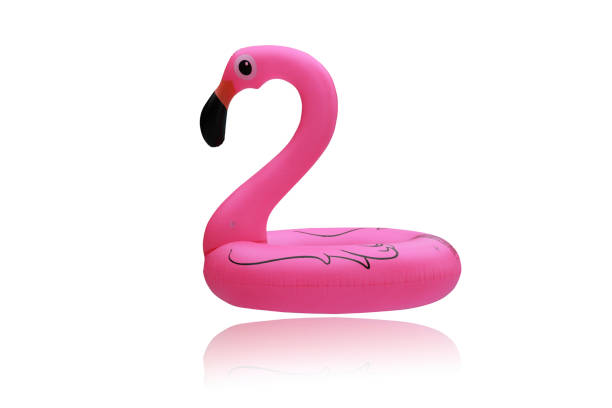 Flamingo Rubber Swimming Ring Water Sports isolated on the white background.This had clipping path. stock photo