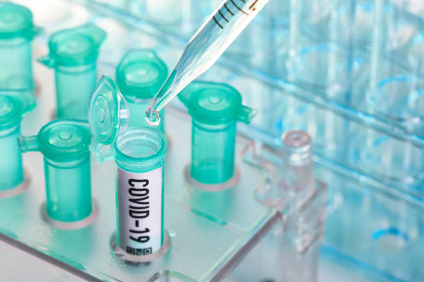 istock Corona virus: vial with pipette in laboratory 1206763430