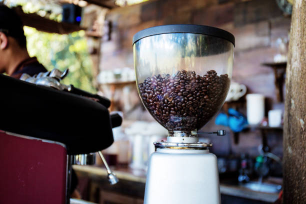 istock Coffee roaster in coffee shop. 1206763445