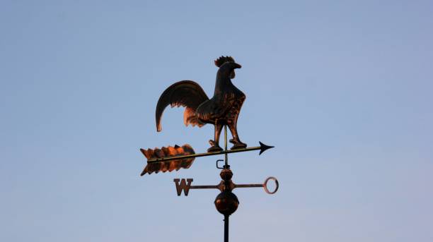 istock Weathercock faces east 1206764993