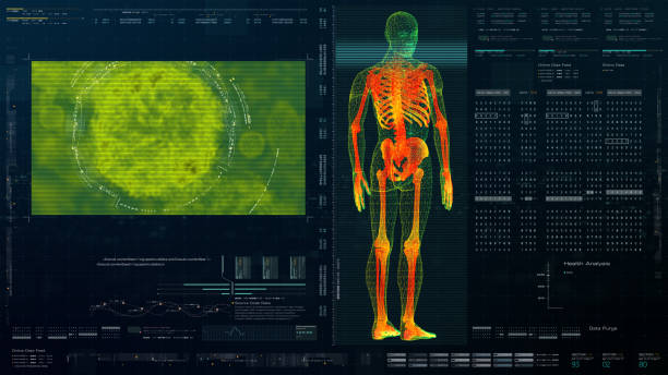 istock Holographic Display of Advance Human Biomedical Diagnostic 1206765732