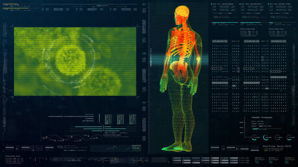istock Holographic Display of Advance Human Biomedical Diagnostic 1206765770