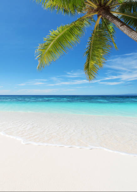 istock Exotic tropical beach scene for background or wallpaper 1206766815