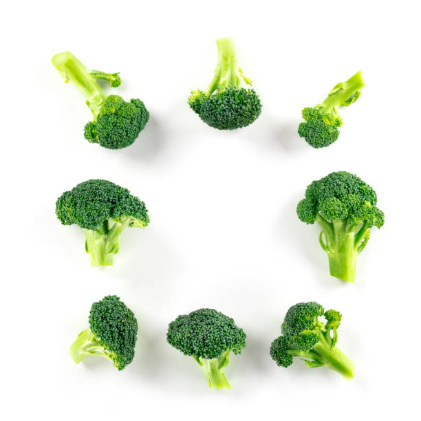 istock Broccoli florets, shot from above on a white background, forming a square frame with copy space 1206767727