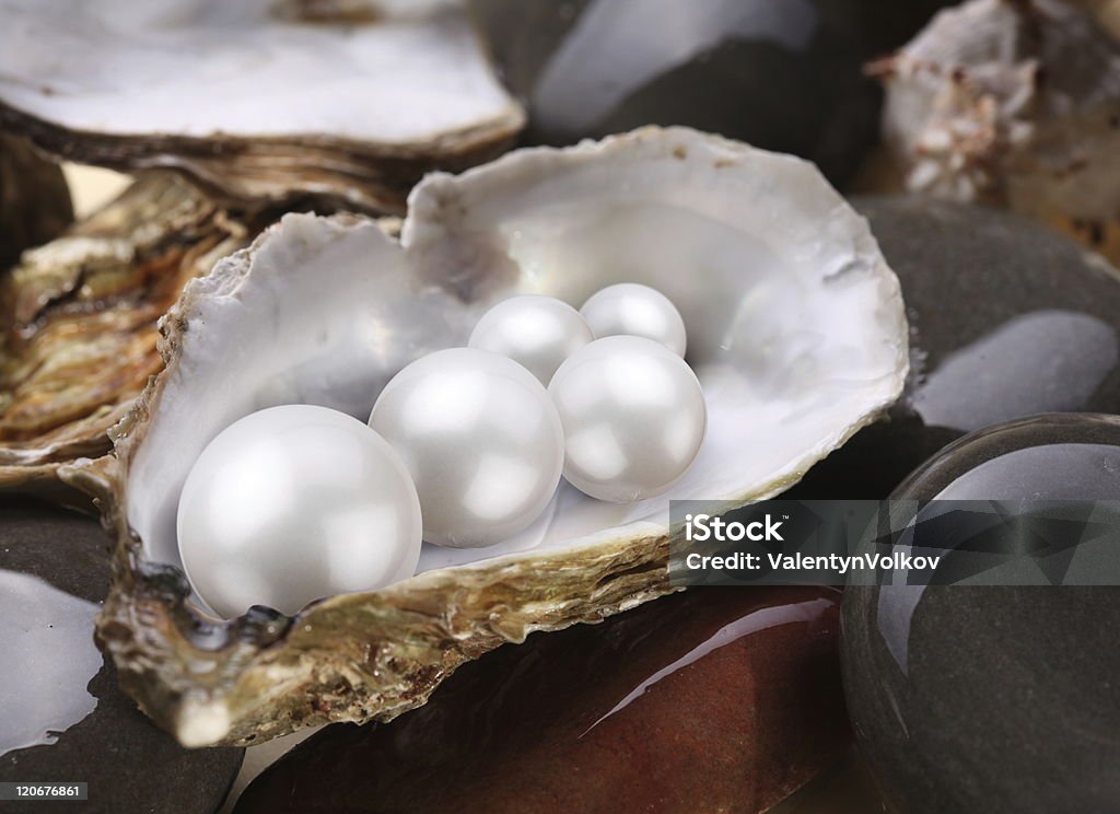 Perle in una shell - Foto stock royalty-free di Abbondanza