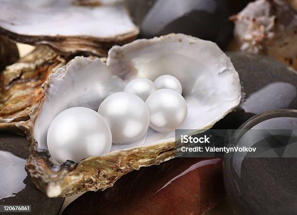 Perle In Una Shell - Fotografie stock e altre immagini di Abbondanza - Abbondanza, Ambientazione esterna, Aperto