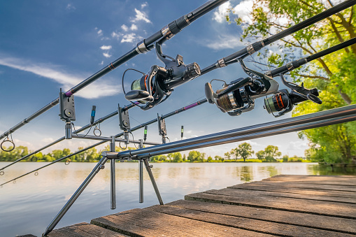 Carp Fishing Rods On Rod Pod On Wood Platform At Lake Stock Photo -  Download Image Now - iStock