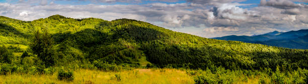 istock panorama of the Carpathian mountains 1206768882