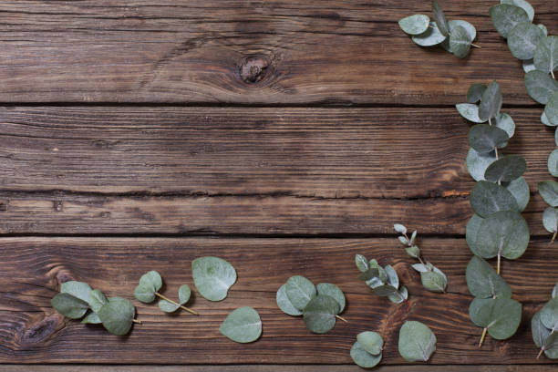 istock eucalyptus on old dark wooden background 1206770831