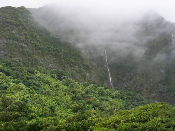 iao valley is a lush, stream-cut valley in west maui, hawaii - maui iao valley state park hawaii islands mountain imagens e fotografias de stock