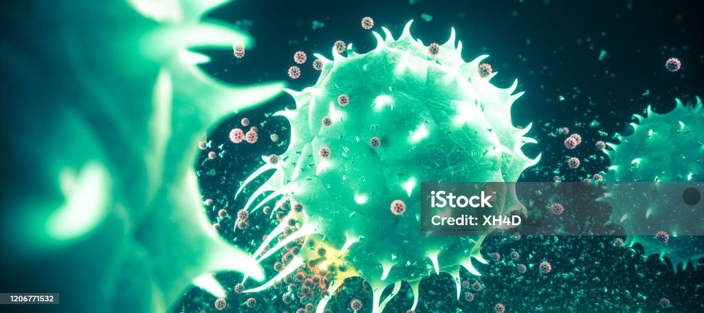 White blood cell and coronavirus Pneumonia coronavirus Biological Cell Stock Photo