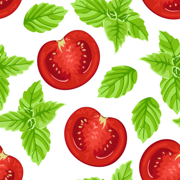 кусочки красного помидора и зеленого базилика листья бесшовные картины. свежие овощи изолированы на белом фоне. векторная иллюстрация про� - white background green pattern tomato stock illustrations