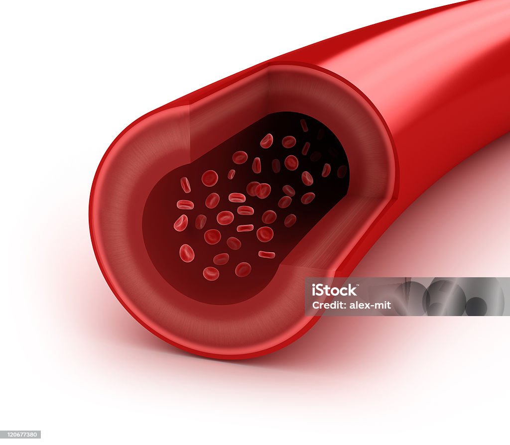 Vaisseau sanguin tranche de macro avec erythrocytes - Photo de Coupe transversale libre de droits