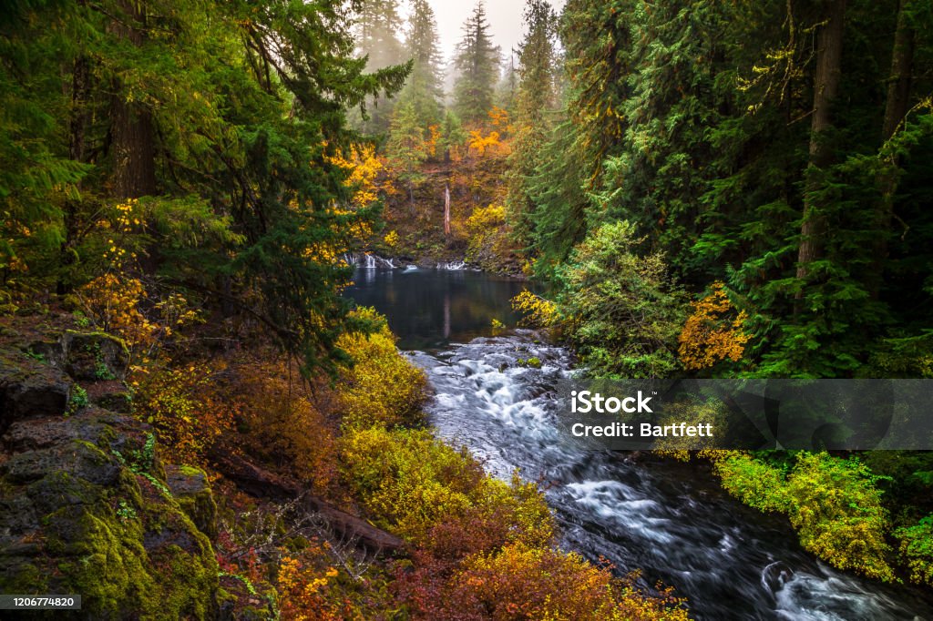 Tamolitch Blue Pool at Mc Kenzie Pass, Oregon, USA Tamolitch Blue Pool at Mc Kenzie Pass in Oregon Willamette Valley Stock Photo