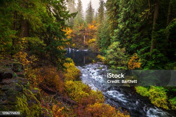 Tamolitch Blue Pool At Mc Kenzie Pass Oregon Usa Stock Photo - Download Image Now - Willamette Valley, McKenzie River, Oregon - US State