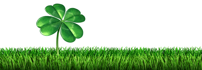 Four leaf clover leaf on grass isolated on white background as a Saint patricks day Irish symbol for a green lucky charm spring icon of good luck fortune and success as a 3D illustration.
