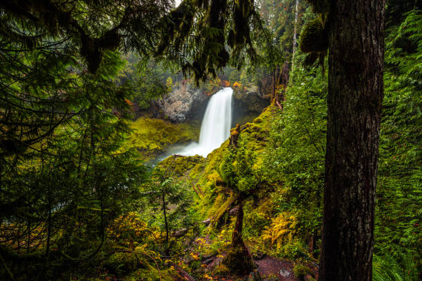 istock Sahalie Falls on the McKenzie River, Oregon 1206775697