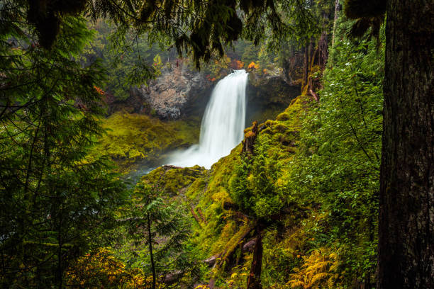 istock Sahalie Falls on the McKenzie River, Oregon 1206775726