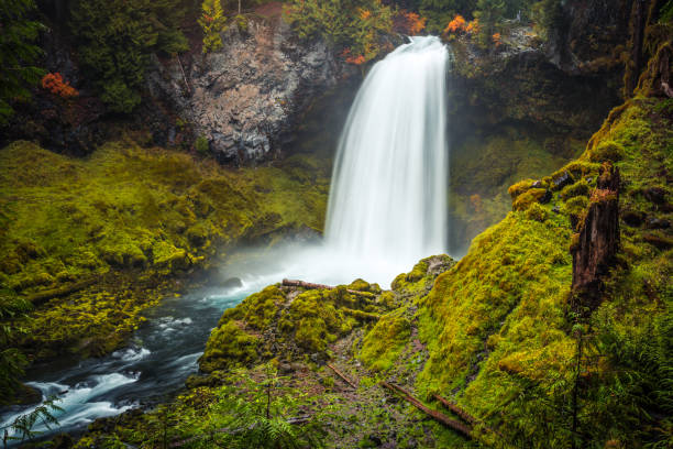 istock Sahalie Falls on the McKenzie River, Oregon 1206775773