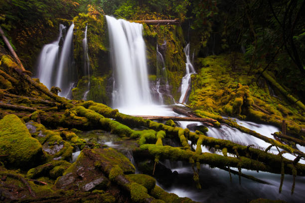 istock Downing Creek Falls, a Hidden Falls in Oregon 1206775838