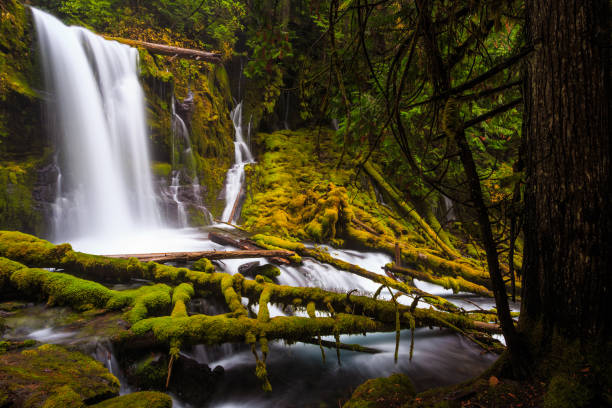 istock Downing Creek Falls, a Hidden Falls in Oregon 1206775857