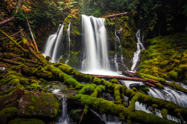 istock Downing Creek Falls, a Hidden Falls in Oregon 1206775908