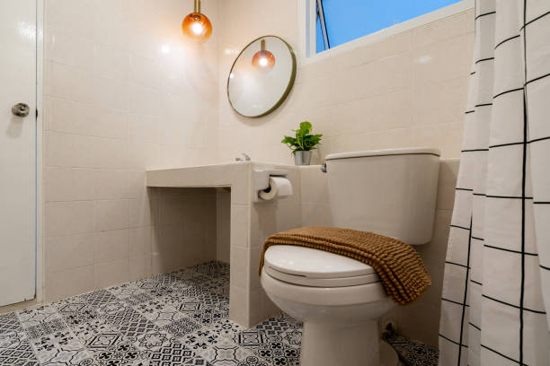 istock Luxury bathroom features basin, toilet bowl 1206775990