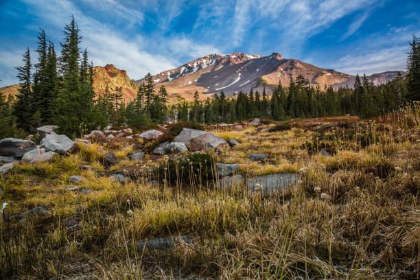 Mount Shasta Morning Views, Panther Meadow, Mt. Shasta California Mount Shasta Morning Views at Panther Meadow, Mt. Shasta California mt shasta stock pictures, royalty-free photos & images