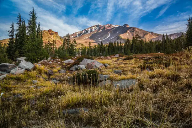 Photo of Mount Shasta Morning Views, Panther Meadow, Mt. Shasta California