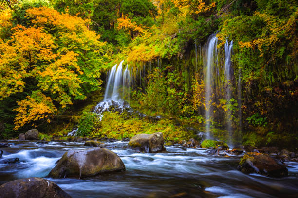 istock Mossbrae Falls in Northern California 1206777128