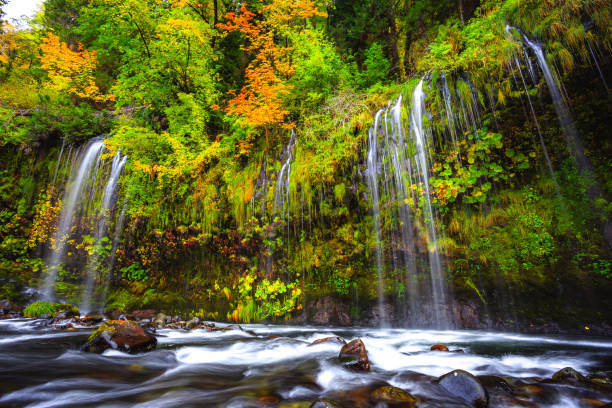 istock Mossbrae Falls in Northern California 1206777145