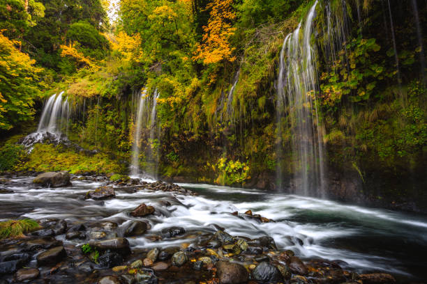 istock Mossbrae Falls in Northern California 1206777844