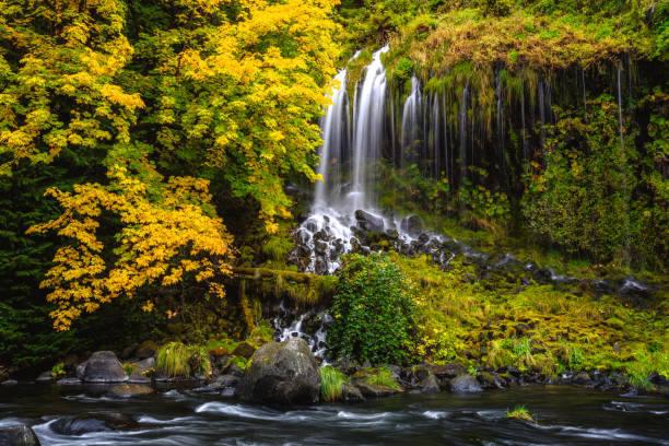 istock Mossbrae Falls in Northern California 1206777888