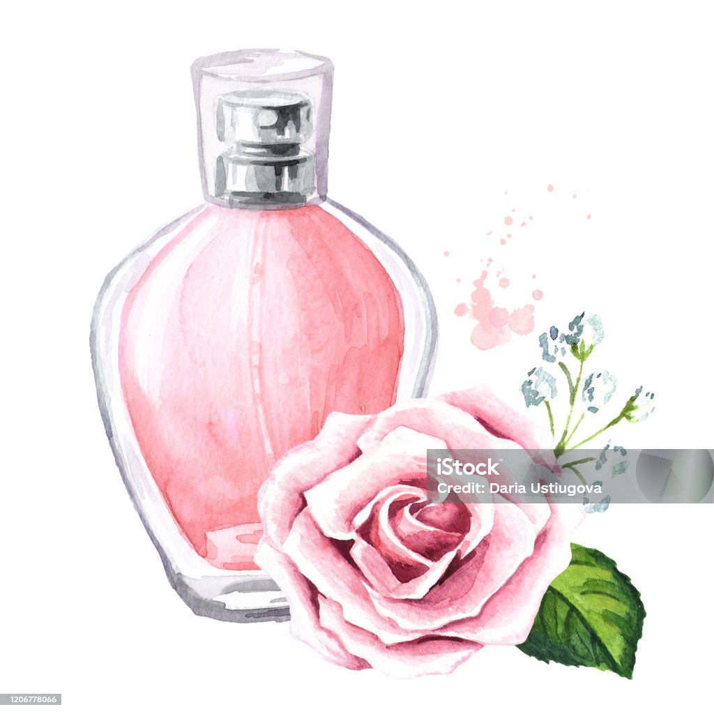 Chai Nước Hoa Và Hoa Hồng Khái Niệm Làm Đẹp Vẽ Tay Màu Nước Hình ...