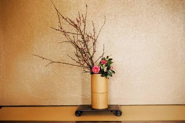 Ikebana-Japanese flower arrangement,Hyogo,Japan