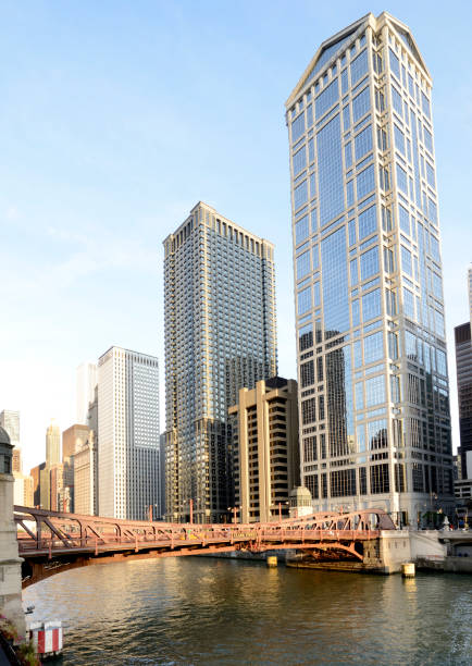 istock Skyscrapers on the river, Chicago. 1206786942