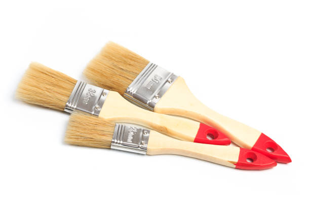 istock set of paint brushes  isolated on a white background 1206787586