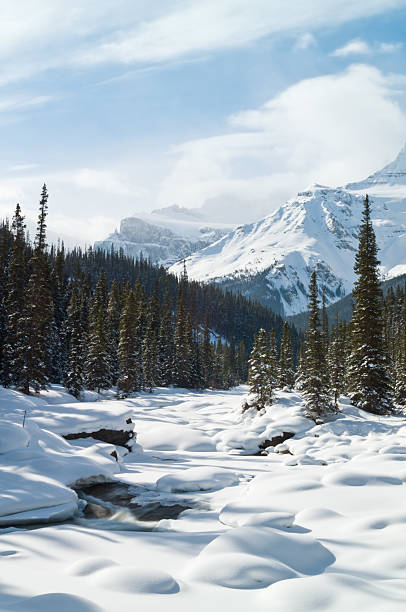 istock Canadian Winter Wonderland 120678953