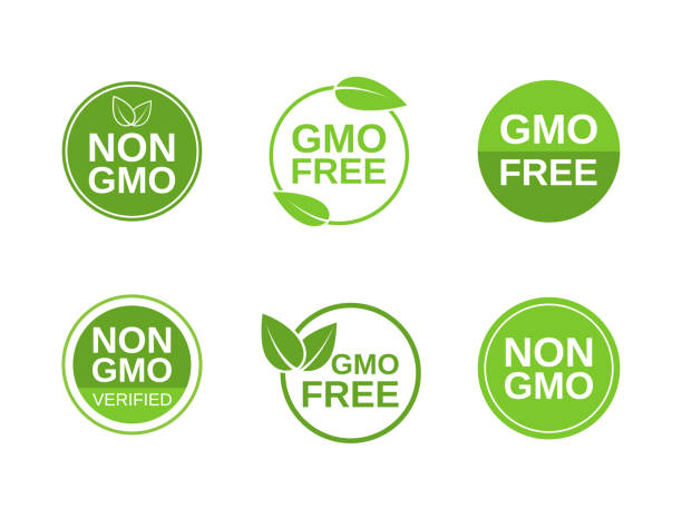Non GMO label set. GMO free icons. No GMO design elements for tags, product packag, food symbol, emblems, stickers. Healthy food concept. Vector illustration Non GMO label set. GMO free icons. No GMO design elements for tags, product packag, food symbol, emblems, stickers. Healthy food concept. Vector illustration. genetically modified food stock illustrations