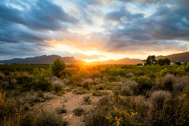 istock Sunset behind the mountains with atmospheric clouds 1206790630