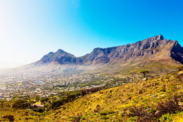 A scenic view of Cape Town's Twelve Apostles mountain range under a cloudy sky, with coastal landscape in the foreground.