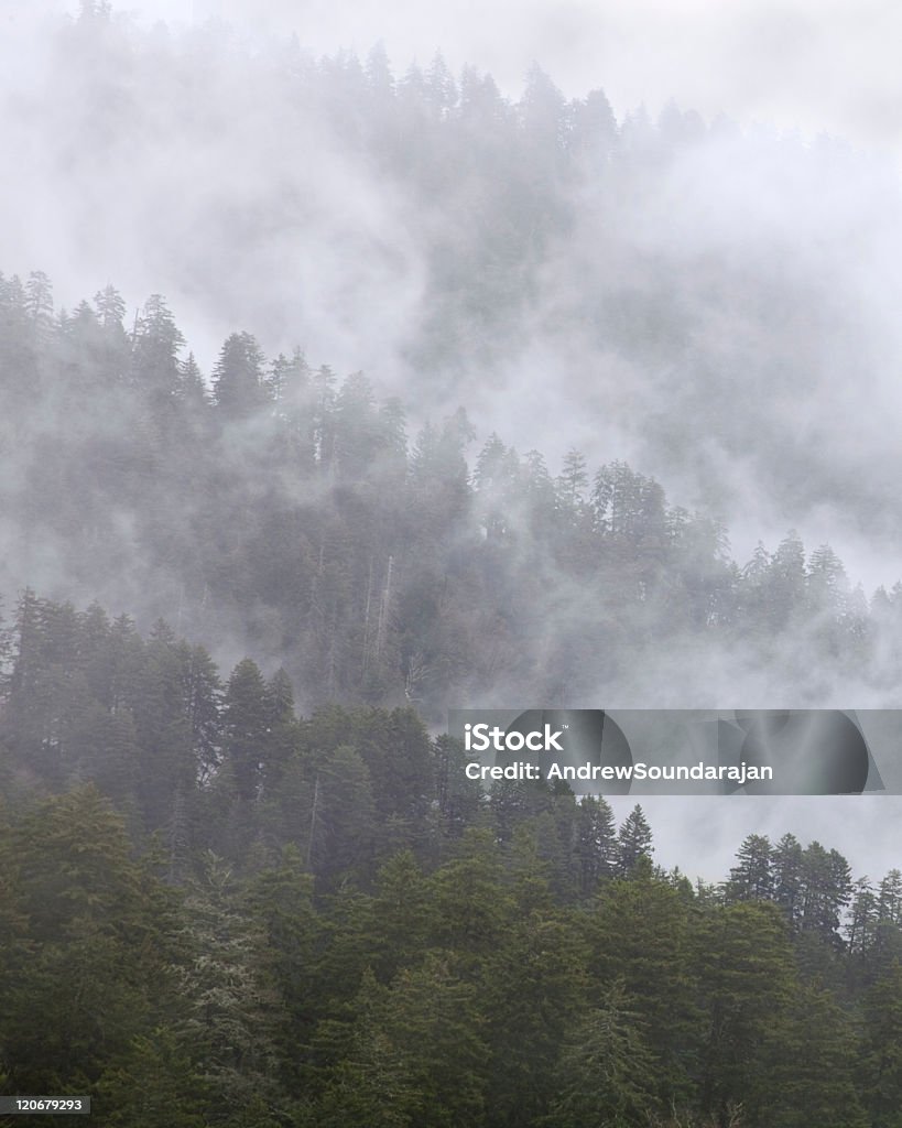 霧シュラウド付きの丘 - かすみのロイヤリティフリーストックフォト