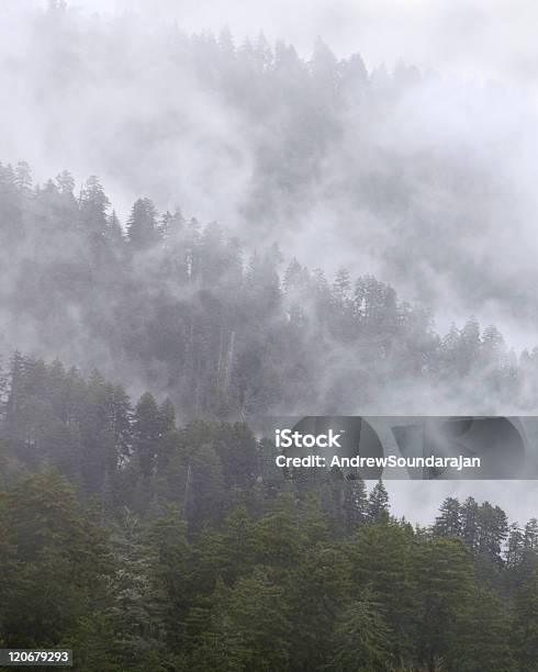 霧シュラウド付きの丘 - かすみのストックフォトや画像を多数ご用意 - かすみ, アパラチア, アメリカ南部