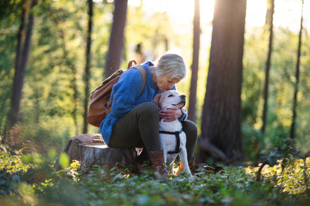 istock A senior woman with dog on a walk outdoors in forest, resting. 1206792961